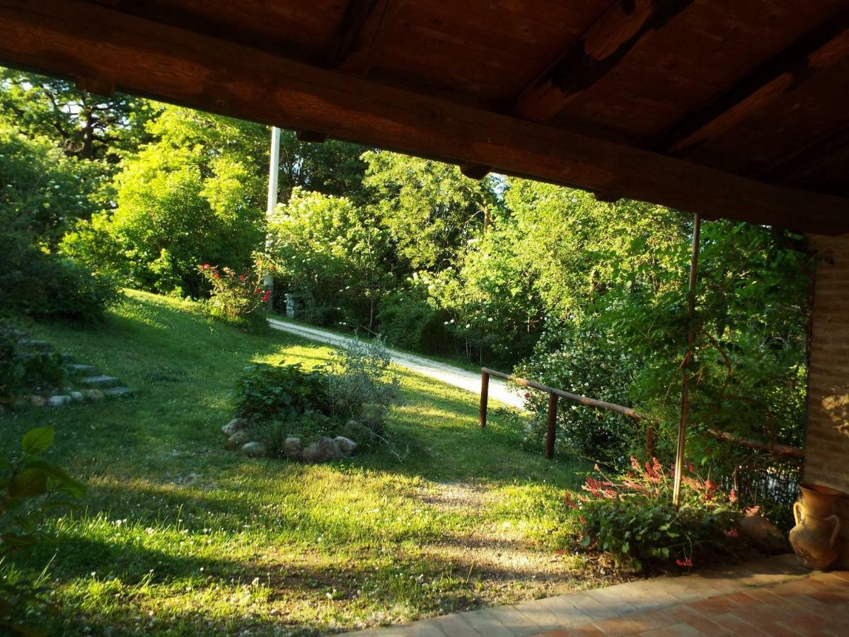 Ficulle Agriturismo Frallarenza מראה חיצוני תמונה