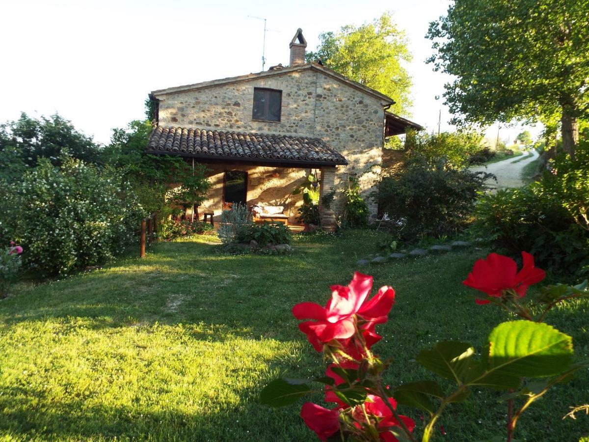 Ficulle Agriturismo Frallarenza מראה חיצוני תמונה