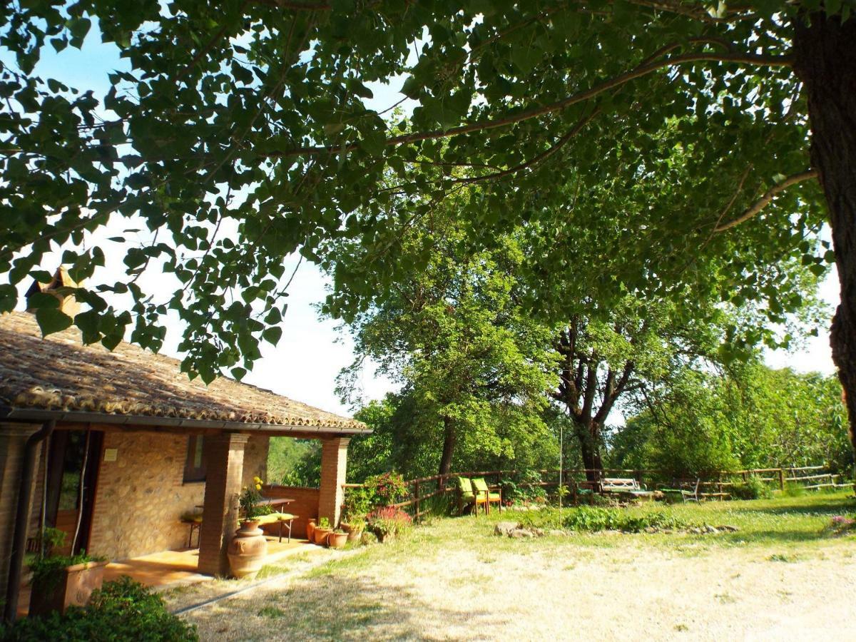 Ficulle Agriturismo Frallarenza מראה חיצוני תמונה