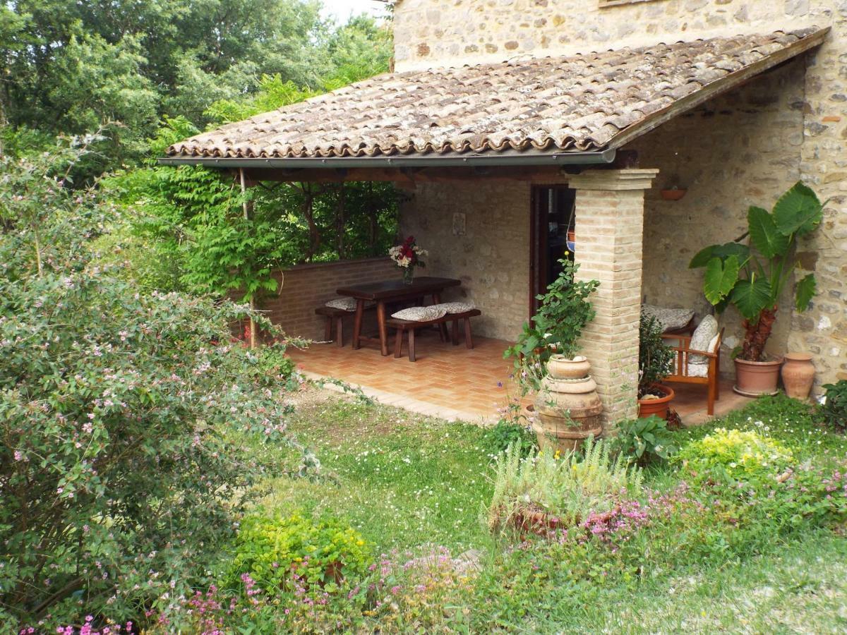 Ficulle Agriturismo Frallarenza מראה חיצוני תמונה