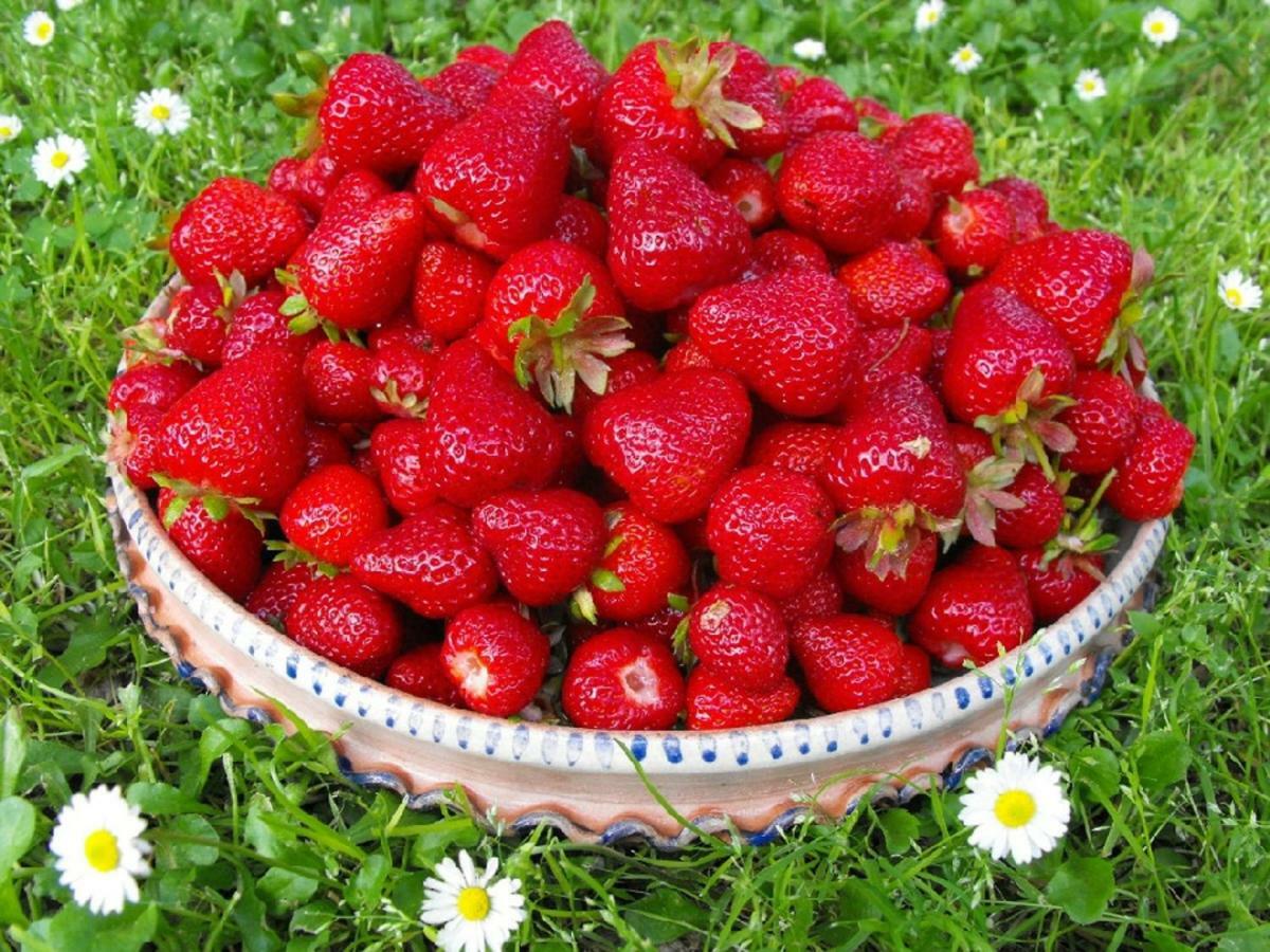 Ficulle Agriturismo Frallarenza מראה חיצוני תמונה
