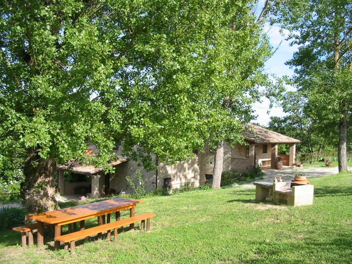 Ficulle Agriturismo Frallarenza מראה חיצוני תמונה