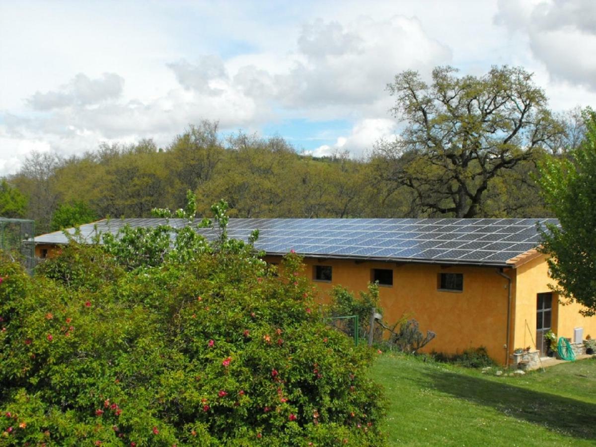 Ficulle Agriturismo Frallarenza מראה חיצוני תמונה