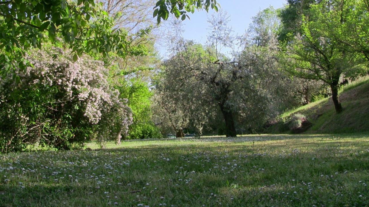 Ficulle Agriturismo Frallarenza מראה חיצוני תמונה