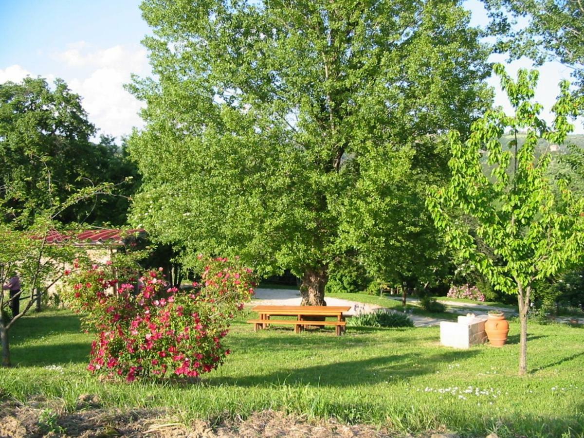 Ficulle Agriturismo Frallarenza מראה חיצוני תמונה
