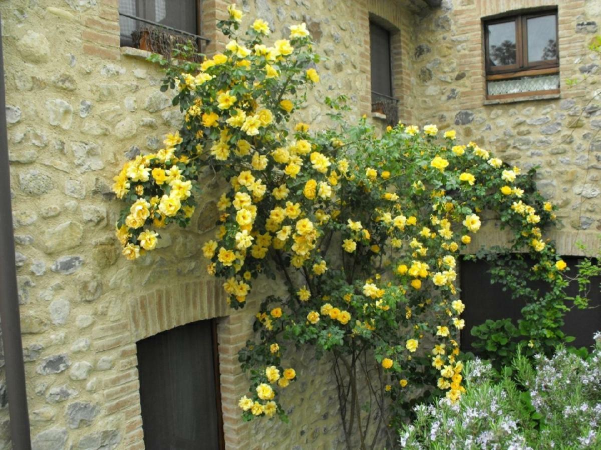 Ficulle Agriturismo Frallarenza מראה חיצוני תמונה