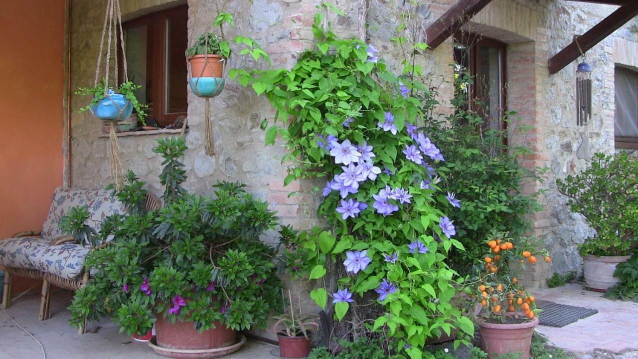 Ficulle Agriturismo Frallarenza מראה חיצוני תמונה