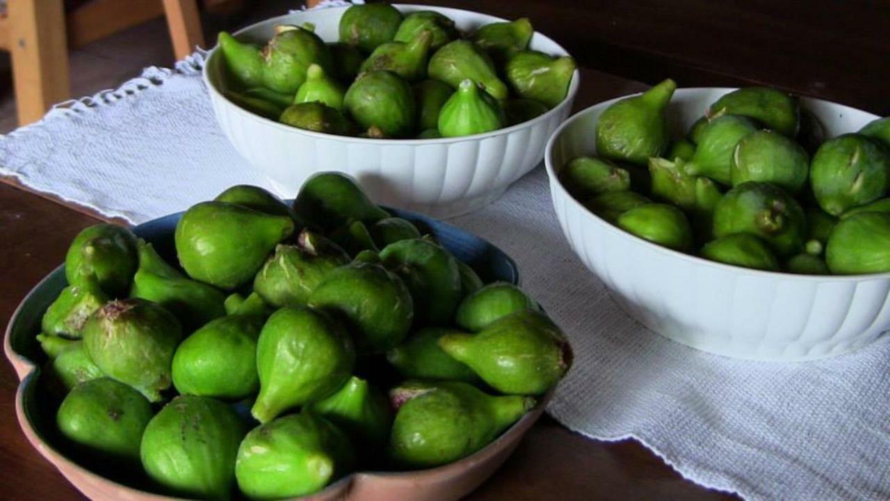 Ficulle Agriturismo Frallarenza מראה חיצוני תמונה